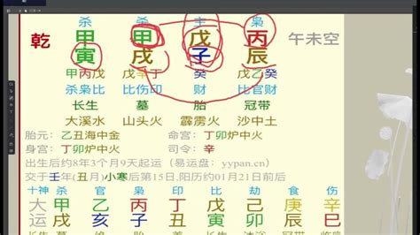 干支自合|干支虚实及自合